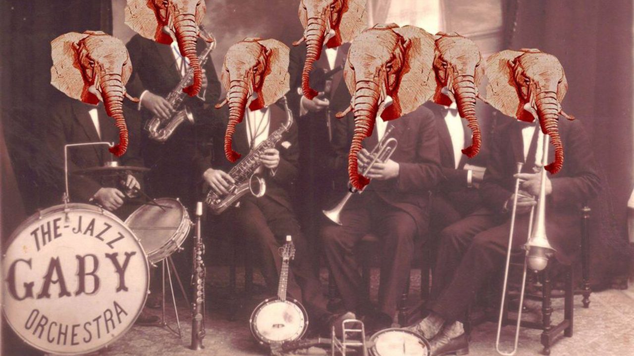 Elephant jazz Elephant jazz